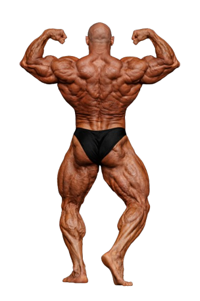 Aristos Aristeidou IFBB back double biceps pose